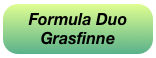 Formula Duo 
Grasfinne